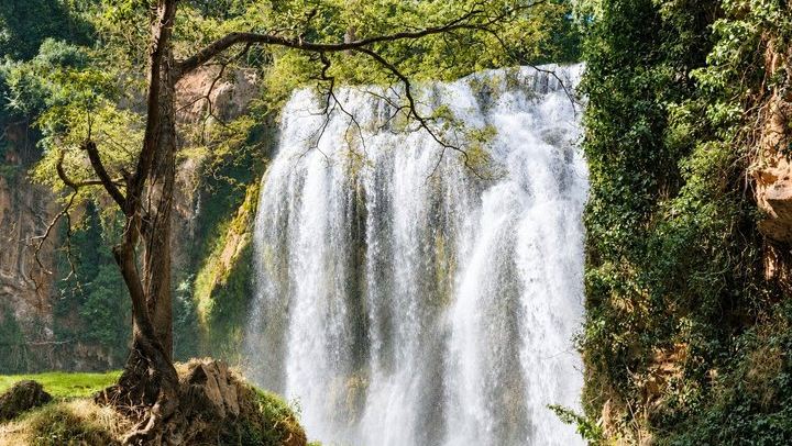 Ouzoud Waterfalls Day Trip from Marrakech with Boat Ride and Optional Lunch (4/12)