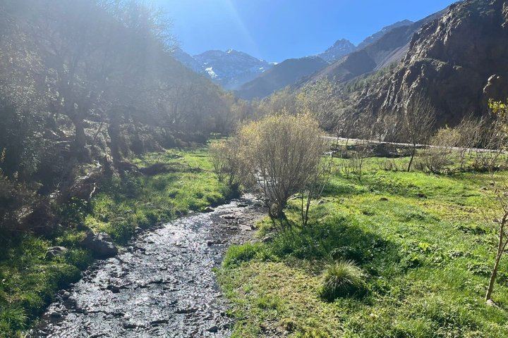 Setti Fatma Waterfalls Group Day Trip from Marrakech with Dar Zite Berber House Visit (9/9)