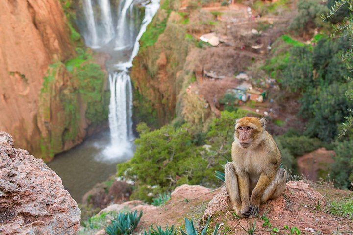 Ouzoud Waterfalls Small-Group Day Trip with Local Guide, Boat Ride and Transfers (5/8)