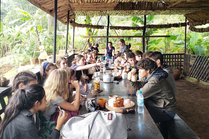 Materuni Waterfall Hike, Coffee Tour and Hot Picnic Lunch from Moshi (10/12)