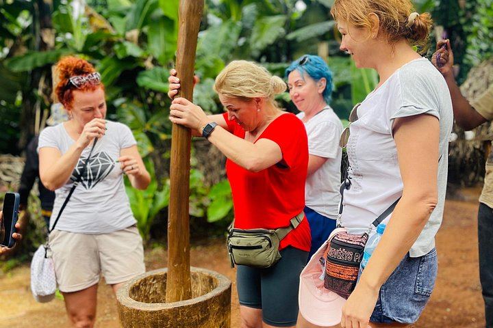 Materuni Coffee Tour and Chemka Hot Springs Day Trip with Local Lunch from Arusha (10/12)