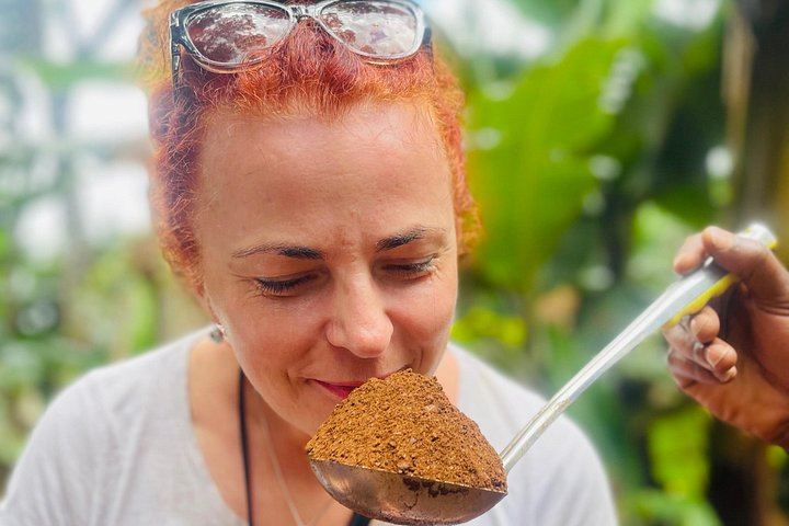 Materuni Coffee Tour and Chemka Hot Springs Day Trip with Local Lunch from Arusha (11/12)