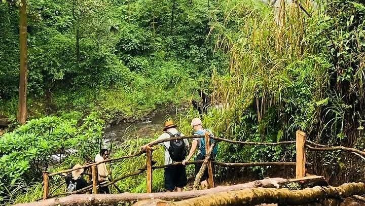Small-Group Materuni Waterfall, Coffee Making and Chemka Hot Springs, Arusha Clock Tower (1/7)