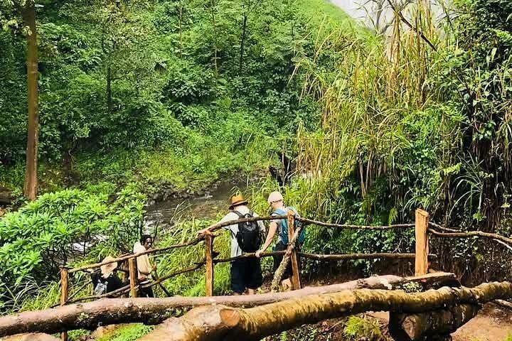 Small-Group Materuni Waterfall, Coffee Making and Chemka Hot Springs, Arusha Clock Tower (1/7)