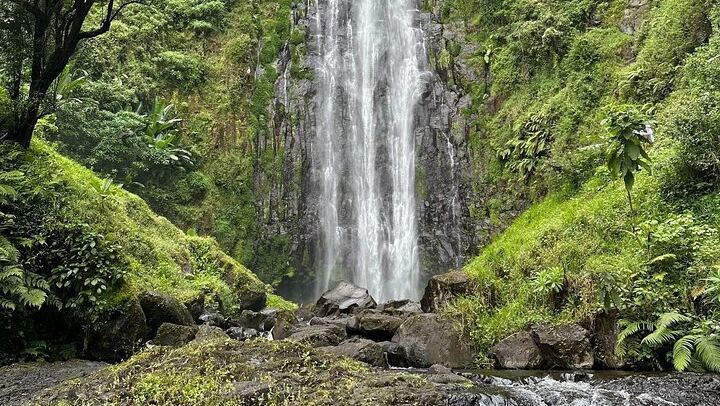Materuni Waterfall and Coffee Farm Half-Day Tuk Tuk Trip from Moshi (1/10)