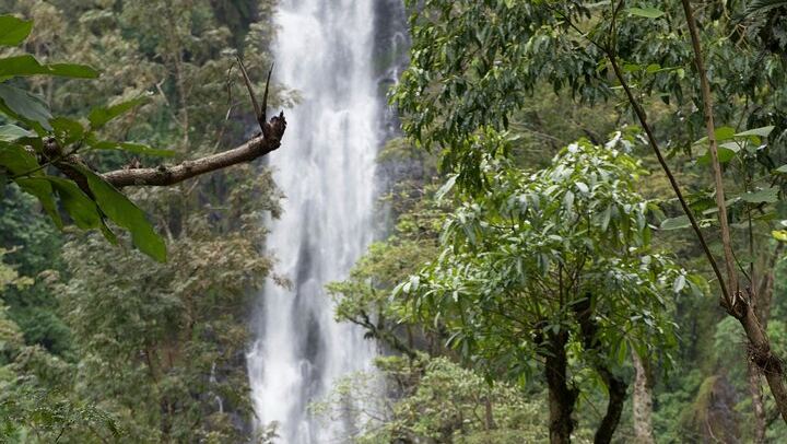 Materuni Waterfall, Coffee Tour and Kikuletwa Hot Springs with Kisambi Tours (4/9)