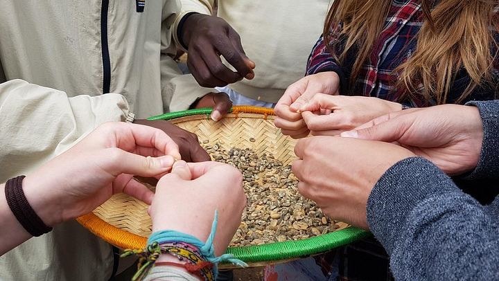 Materuni Waterfall Hike and Coffee Tour with Chagga Lunch, Moana Hostel Pickup (1/3)