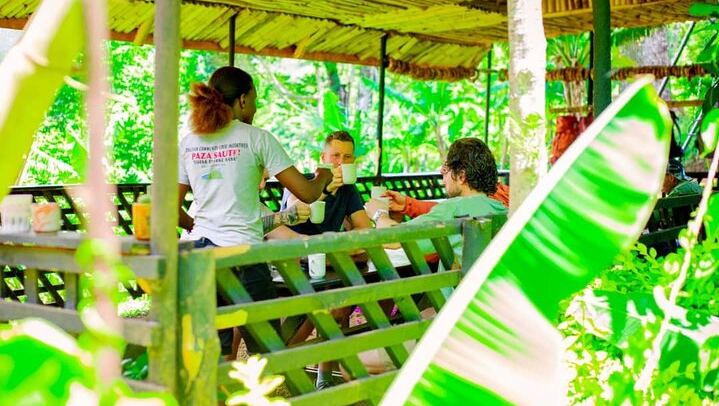 Materuni Waterfall, Coffee Tour and Kikuletwa Hot Springs with Kisambi Tours (3/9)