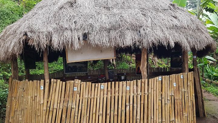 Materuni Waterfall Hike and Coffee Tour with Chagga Lunch, Moana Hostel Pickup (3/3)