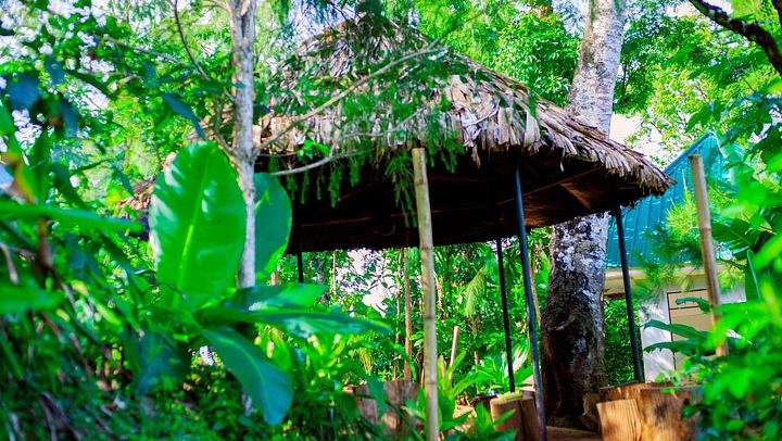 Materuni Waterfall, Coffee Tour and Kikuletwa Hot Springs with Kisambi Tours (2/9)