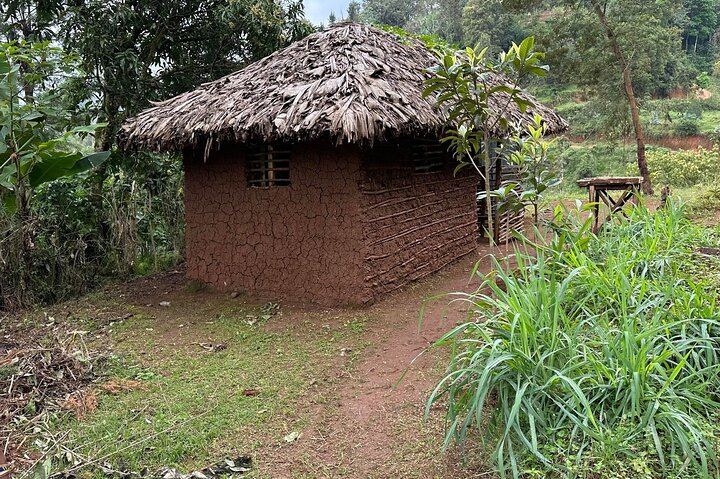 Materuni Waterfall and Coffee Farm Half-Day Tuk Tuk Trip from Moshi (9/10)