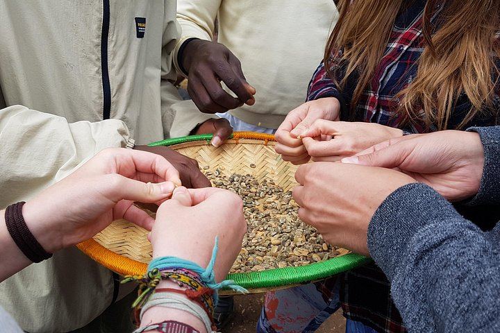 Materuni Waterfall Hike and Coffee Tour with Chagga Lunch, Moana Hostel Pickup (1/3)
