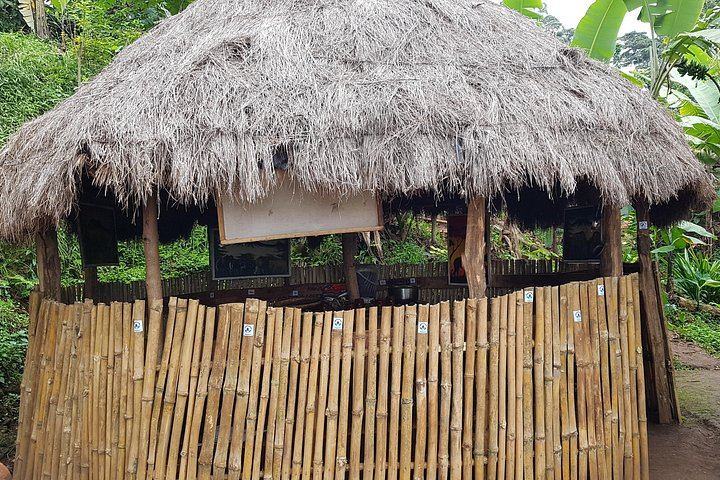 Materuni Waterfall Hike and Coffee Tour with Chagga Lunch, Moana Hostel Pickup (3/3)