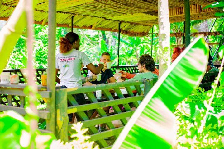 Materuni Waterfall, Coffee Tour and Kikuletwa Hot Springs with Kisambi Tours (3/9)