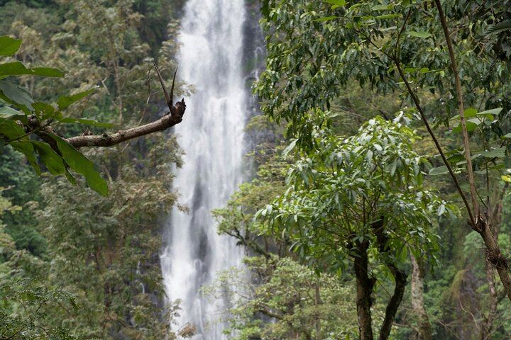 Materuni Waterfall, Coffee Tour and Kikuletwa Hot Springs with Kisambi Tours (4/9)