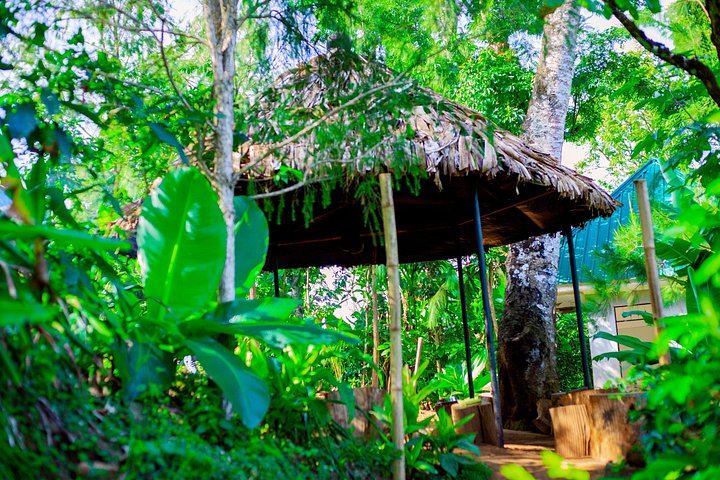 Materuni Waterfall, Coffee Tour and Kikuletwa Hot Springs with Kisambi Tours (2/9)