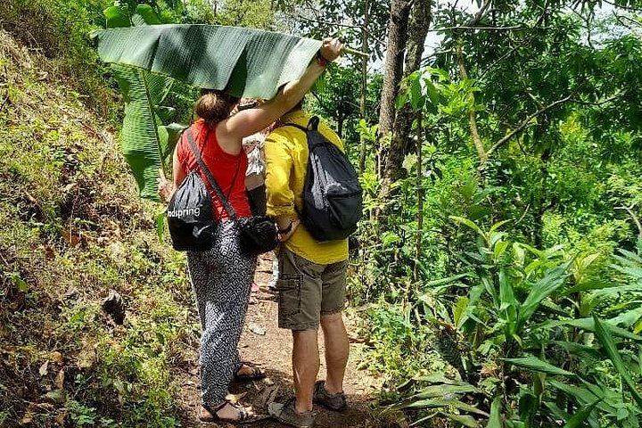 Materuni Waterfall, Coffee Tour and Kikuletwa Hot Springs with Kisambi Tours (6/9)