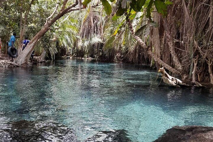 Materuni Waterfall, Coffee Tour and Kikuletwa Hot Springs with Kisambi Tours (7/9)