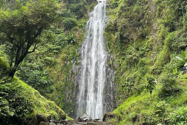 Materuni Waterfall and Coffee Farm Half-Day Tuk Tuk Trip from Moshi