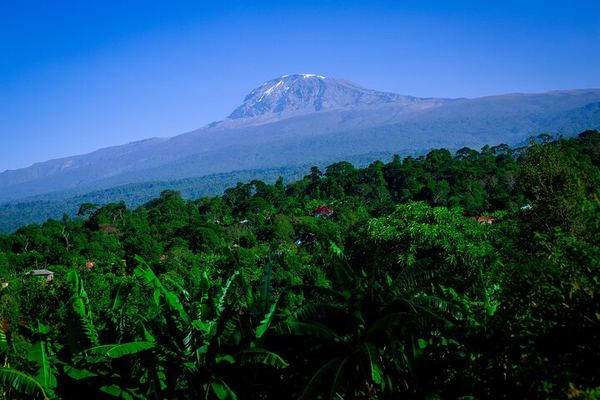 Materuni Waterfall, Coffee Tour and Kikuletwa Hot Springs with Kisambi Tours