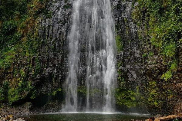 Materuni Waterfall Hike and Coffee Tour with Chagga Lunch, Moana Hostel Pickup