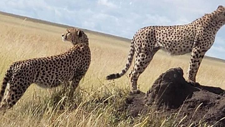 Materuni Waterfall Hike, Coffee Farm and Chemka Hot Springs with Arusha or Moshi Transfers (4/5)