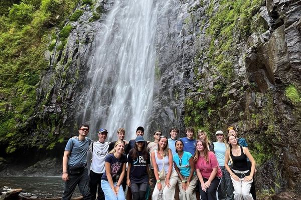 Materuni Waterfall Hike, Coffee Tour and Hot Picnic Lunch from Moshi