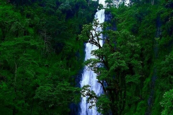 Materuni Waterfall and Organic Arabica Coffee Day Trip from Moshi