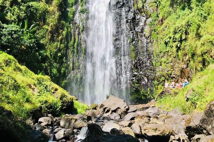Materuni Waterfall Hike, Coffee Tour and Hot Picnic Lunch from Moshi (1/12)