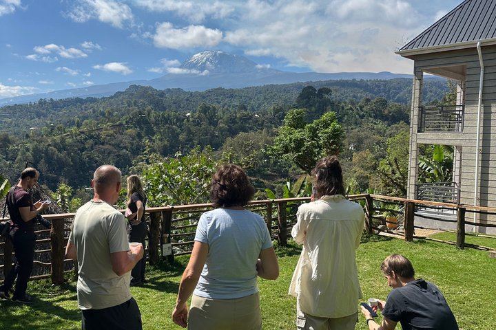 Materuni Waterfall Hike, Coffee Tour and Hot Picnic Lunch from Moshi (11/12)