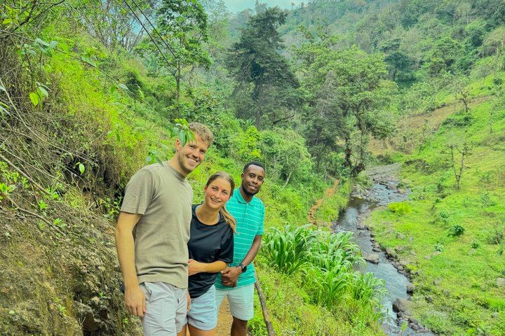 Materuni Waterfall Hike, Coffee Tour and Hot Picnic Lunch from Moshi (9/12)