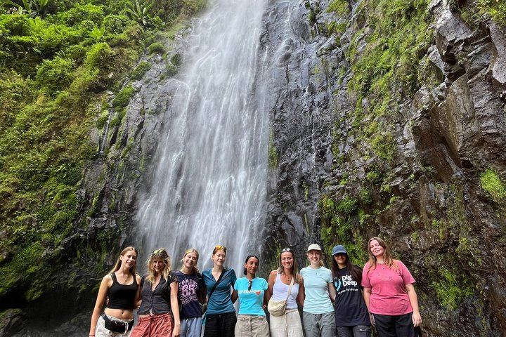 Materuni Waterfall Hike, Coffee Tour and Hot Picnic Lunch from Moshi (6/12)