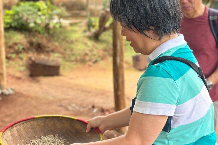 Materuni Waterfall Hike, Coffee Tour and Hot Picnic Lunch from Moshi (7/12)