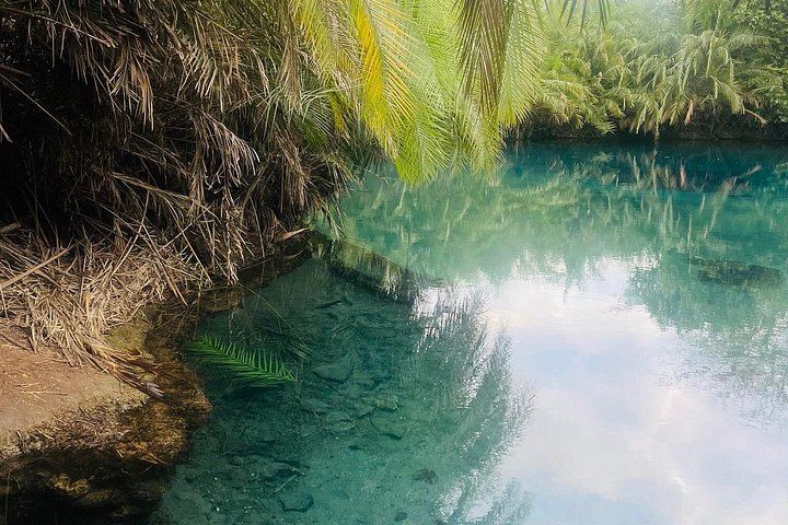 Materuni Waterfall Hike, Coffee Tasting and Chemka Hot Springs by Tuk Tuk from Moshi (11/11)