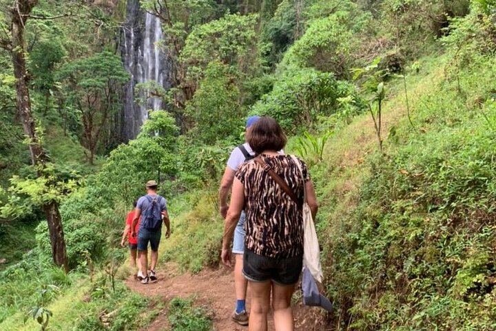 Bodaboda Motorbike Ride to Materuni Waterfall, Coffee and Village Tour (8/8)