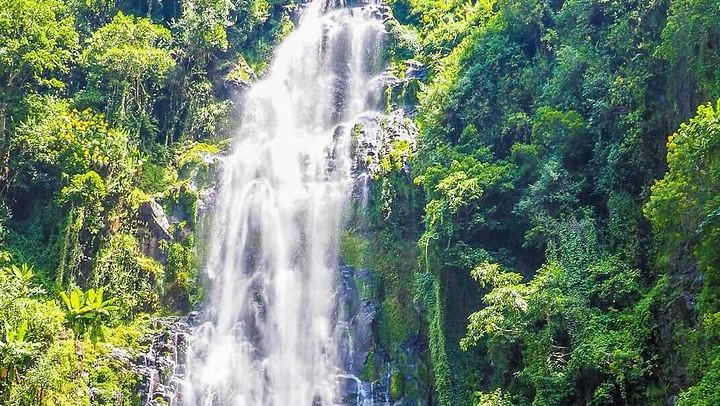 Materuni Waterfalls Swim and Chagga Coffee Half-Day Walk from Moshi Hotels (1/12)
