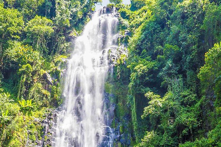 Materuni Waterfalls Swim and Chagga Coffee Half-Day Walk from Moshi Hotels (1/12)