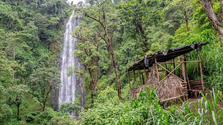 Private Full-Day Materuni Waterfalls and Coffee Village Tour from Moshi Hotels (4/4)