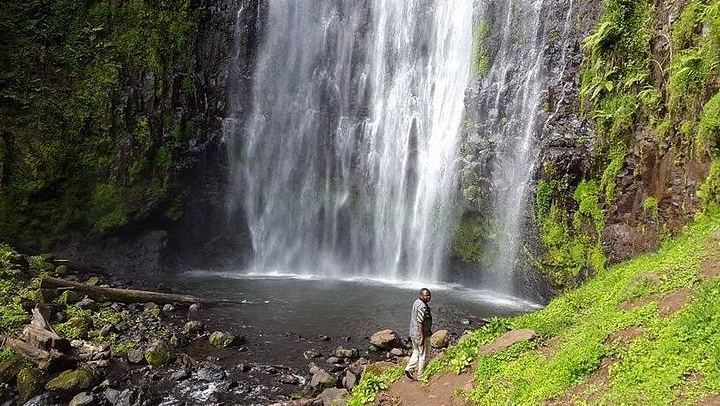 Private Full-Day Materuni Waterfalls and Coffee Village Tour from Moshi Hotels (3/4)