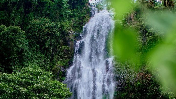 Private Materuni Waterfall and Chemka Hot Springs Tour with Arusha or Moshi Hotel Pickup (3/12)