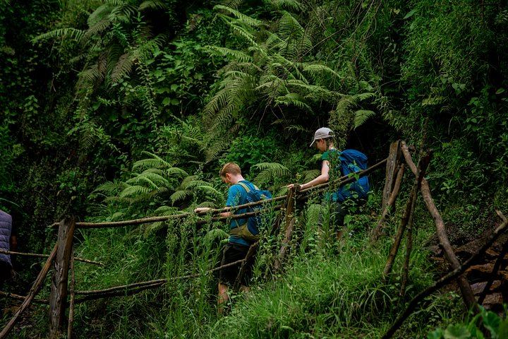 Private Materuni Waterfall and Chemka Hot Springs Tour with Arusha or Moshi Hotel Pickup (5/12)