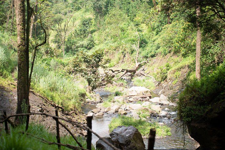 Private Materuni Waterfall and Chemka Hot Springs Tour with Arusha or Moshi Hotel Pickup (10/12)