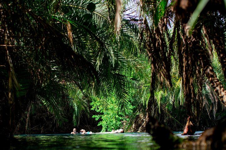 Private Materuni Waterfall and Chemka Hot Springs Tour with Arusha or Moshi Hotel Pickup (7/12)
