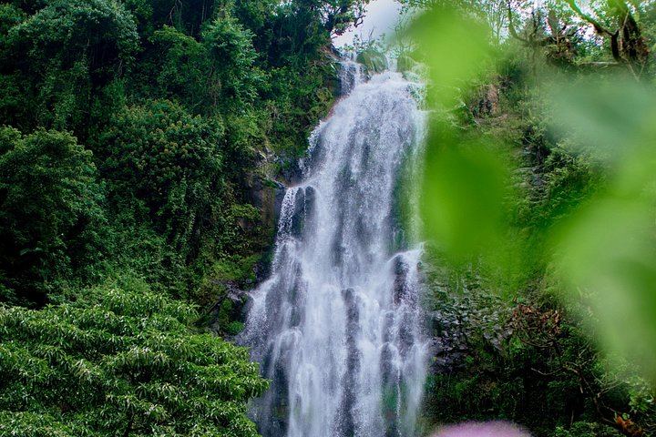 Private Materuni Waterfall and Chemka Hot Springs Tour with Arusha or Moshi Hotel Pickup (3/12)