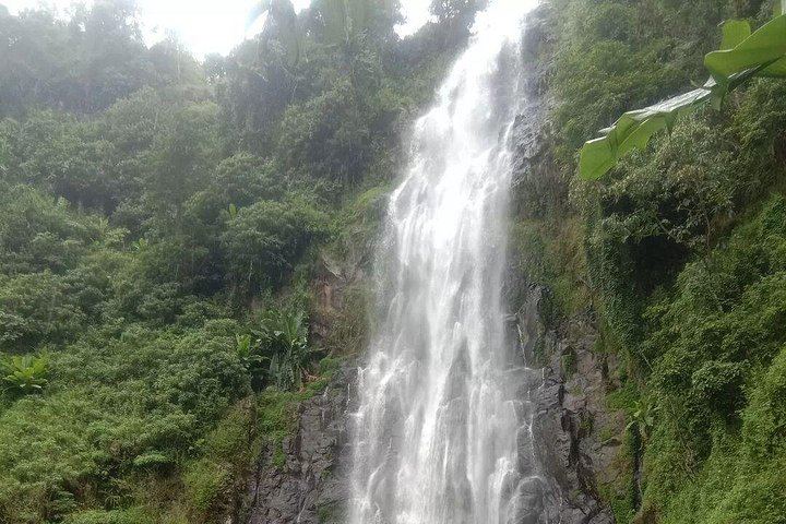 Materuni Waterfalls and Coffee Day Tour from Arusha with Clock Tower Meeting Point (9/12)