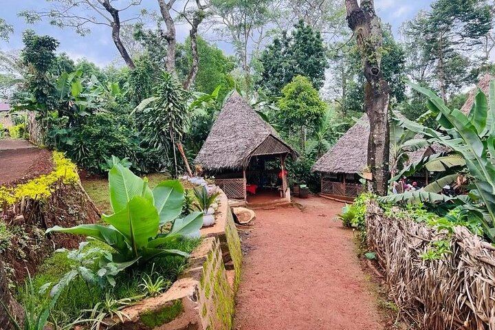 Materuni Waterfalls and Coffee Day Tour from Arusha with Clock Tower Meeting Point (8/12)