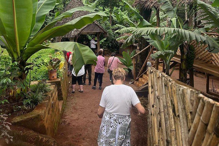 Materuni Waterfalls and Coffee Day Tour from Arusha with Clock Tower Meeting Point (6/12)