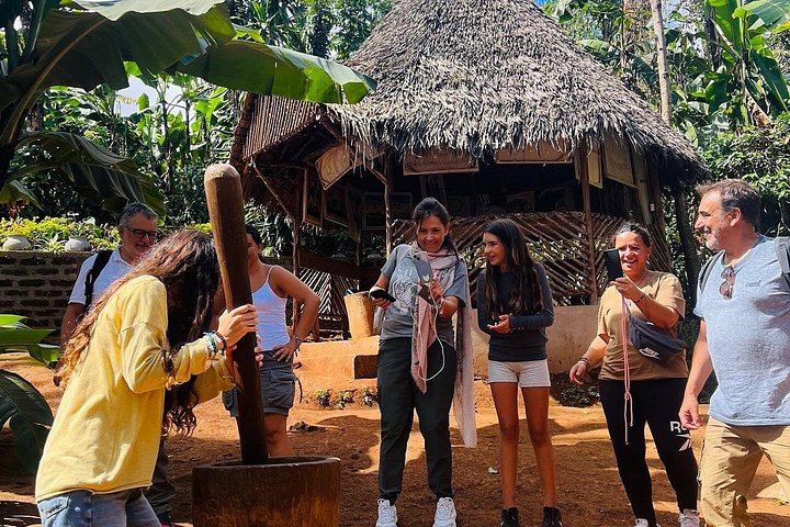 Materuni Waterfalls and Coffee Day Tour from Arusha with Clock Tower Meeting Point (4/12)