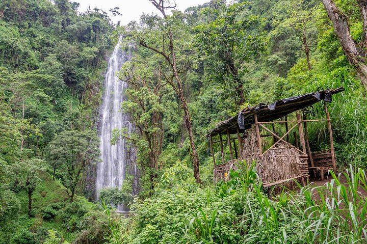 Private Full-Day Materuni Waterfalls and Coffee Village Tour from Moshi Hotels (4/4)