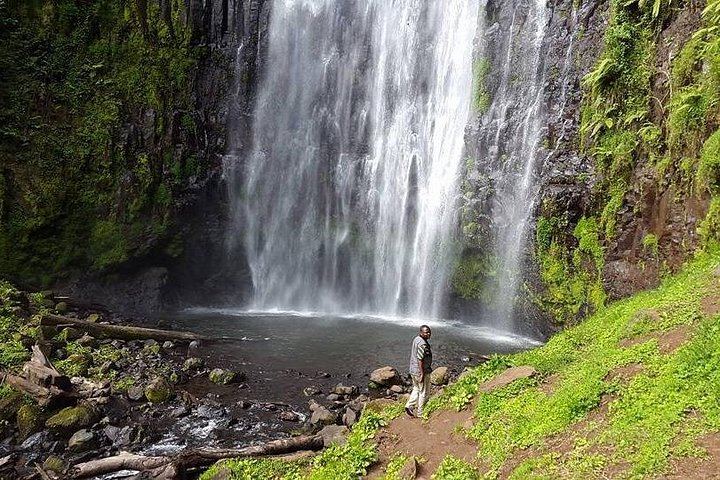 Private Full-Day Materuni Waterfalls and Coffee Village Tour from Moshi Hotels (3/4)